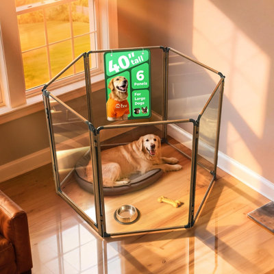 Parc d'intérieur pour chien en acrylique robuste AuraSpace Pro de FXW, structure robuste en métal, hauteur 40 po, 6 panneaux pour chiens de taille moyenne et grande, noyer
