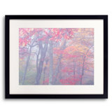 Autumn Portrait Blue Ridge Parkway #4 Print by Bruce Heinemann