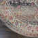 Lowndes Oriental Indoor Rug
