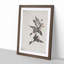 Wild Geese in Flight by Bian Shoumin - Framed Print-55611855-55611856