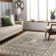 Ameyaa Performance Moroccan Indoor Rug