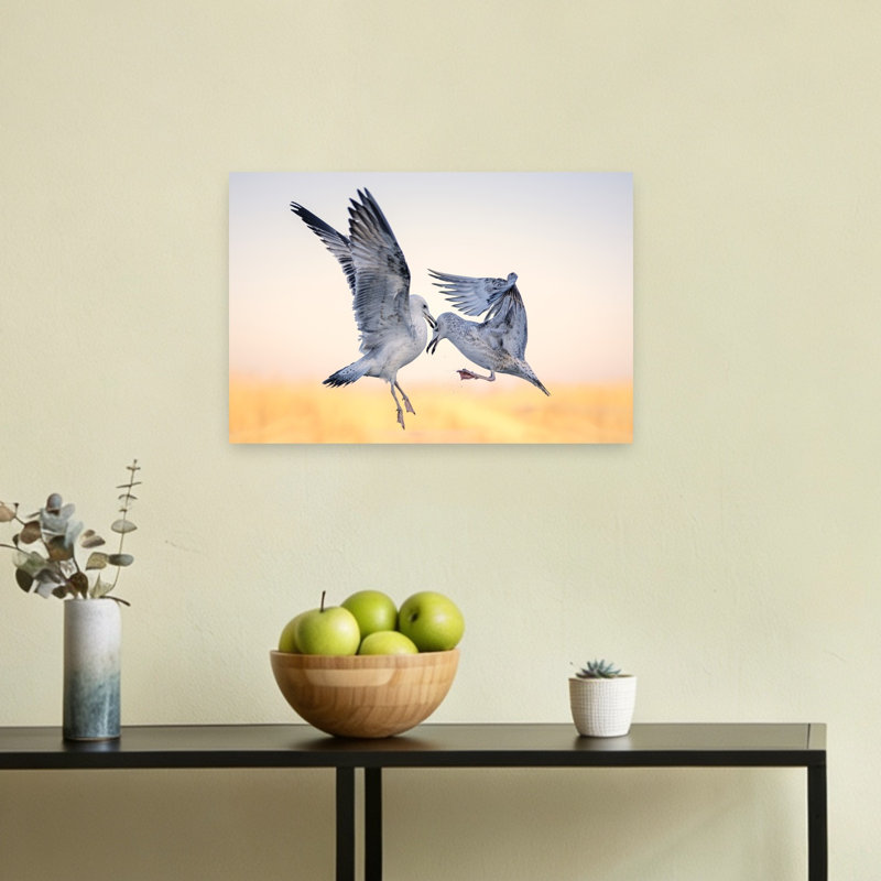 Seagulls In Golden Skirmish Abstract Contemporary Seagull Bird Landscape Nature Wall Art Print 1 Piece Wrapped Canvas Wall Art
