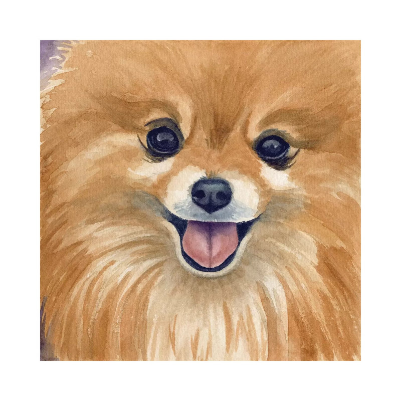 " Paco " by Teresa Kogut, Wrapped Canvas, No Matte, 26" H x 26" W x 1.5" D