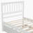 Platform Bed With Trundle