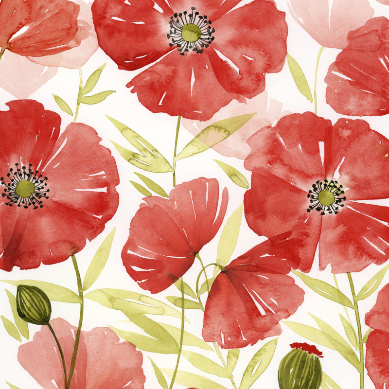 Poppy Screen II by Grace Popp - Wrapped Canvas Painting, 91cm H x 91cm W