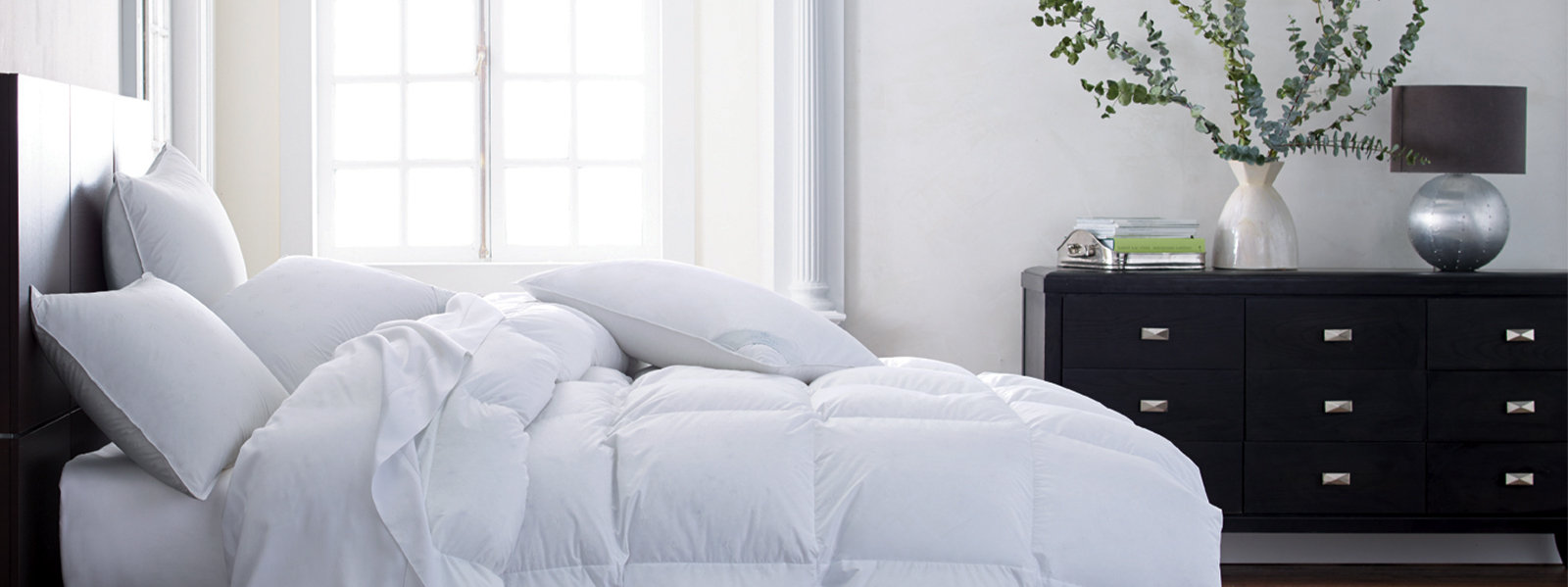 Scandia Home Image Hero