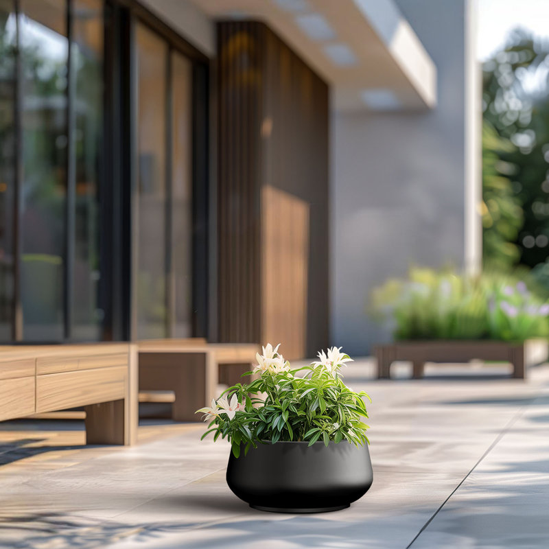 Pot à fleurs moyen rond en béton avec trous de drainage, Noir anthracite, H 7,87 po x l 16,93 po x P 16,93 po