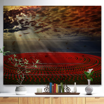 " Beautiful Circled Flower Fields "