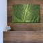"Leaf Leaf" par Dennis Frates-1021642627