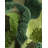 Isabelle & Max™ Sunderbans Angeliyah Rug-620990180
