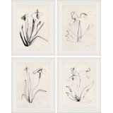 Essence I, II, III & IV Giclee Print by Yuki Osada
