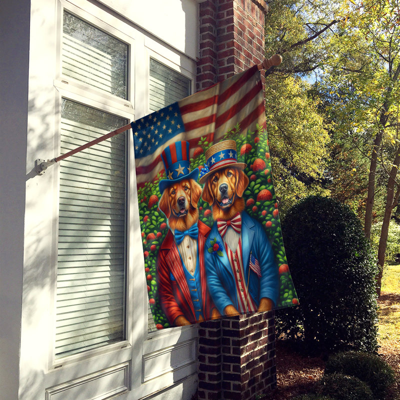 Drapeau «All American House», Retriever de la Baie de Chesapeake