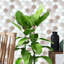 Honey  Hexa Glossy 3D Tile Stickers 30 x 15cm-667052588