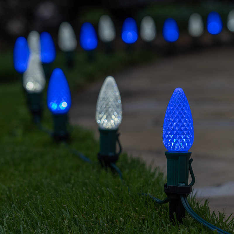50-Foot Blue and White LED Pathway Lights with Stakes