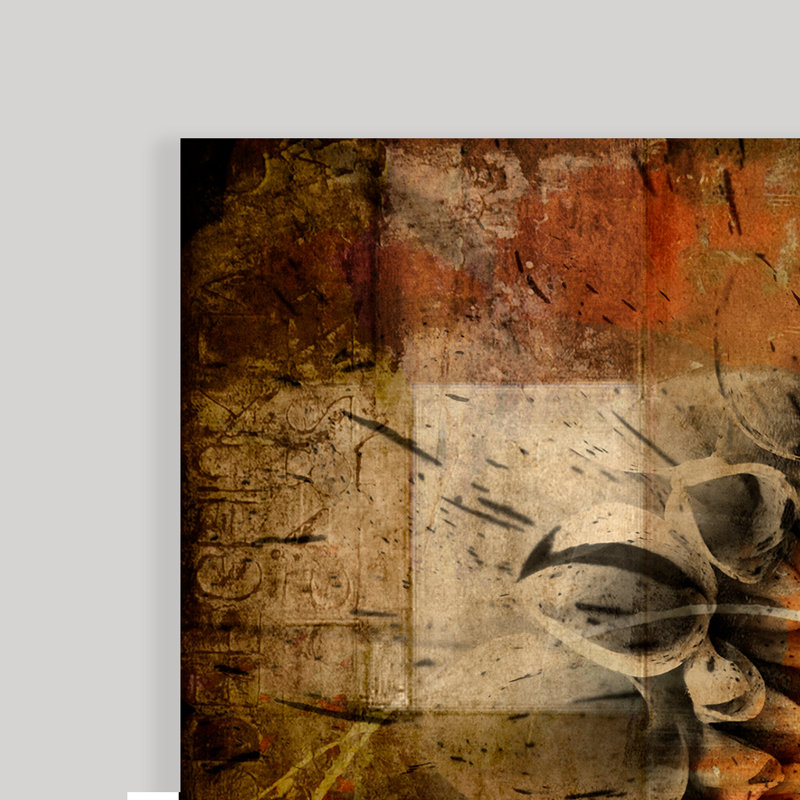 «Daisy», ensemble de 2 reproductions sur toiles, H 30 po x l 40 po, Noir, Framed Print without Mat