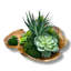 Conception succulente dans un vase en bois naturel abstrait
