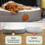 Pet Bed