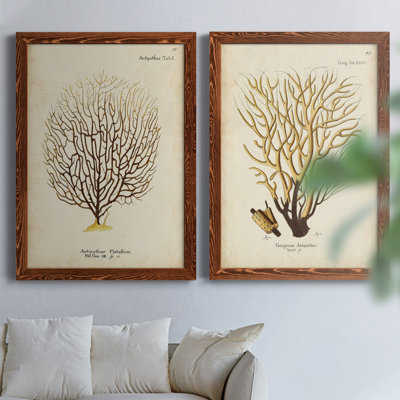 Esper Sea Fans II, toile encadrée de qualité supérieure - prête à être accrochée