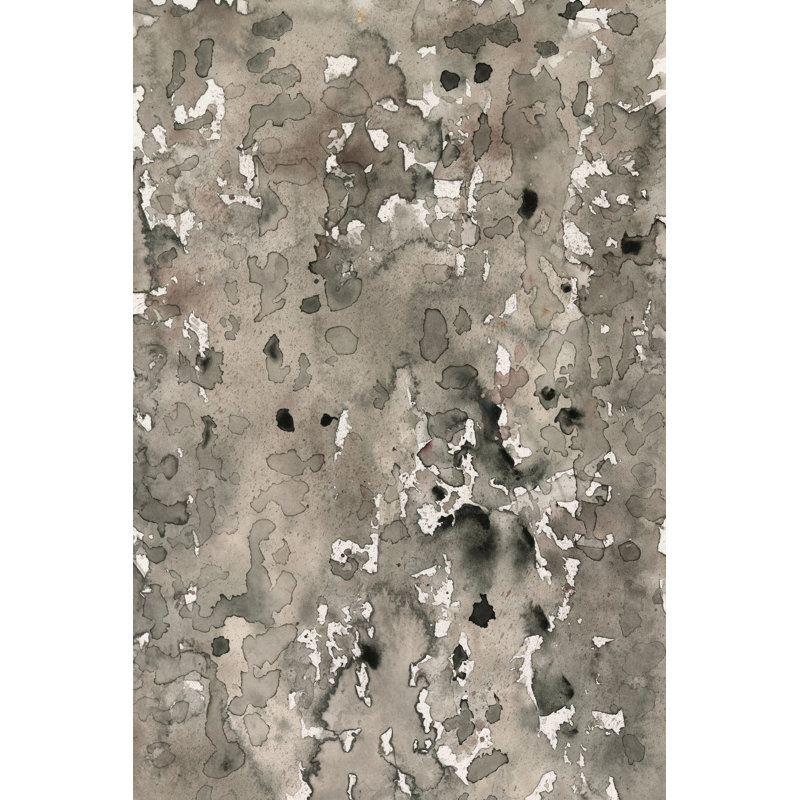 Anatomy Bark I by Samuel Dixon - Wrapped Canvas Print, 61 cm H x 91 cm W
