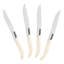 4 Piece Steak Knife Set