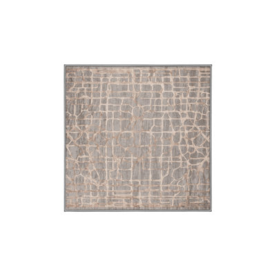 Machine Washable Grey Area Rug