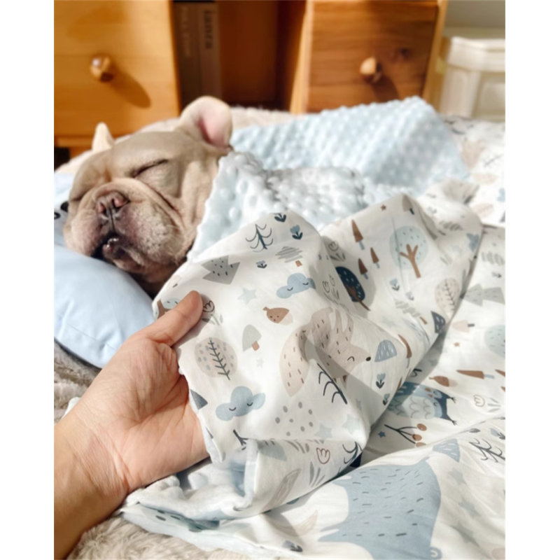 Dog Blankets