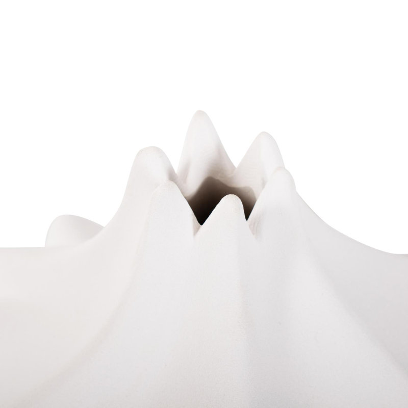 Vase Langmuir