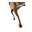 Windsor Solid Wood Writing Desk