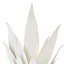 Agave 2 - Light Sconce-821969247