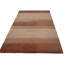 Striped Area Rug in Black