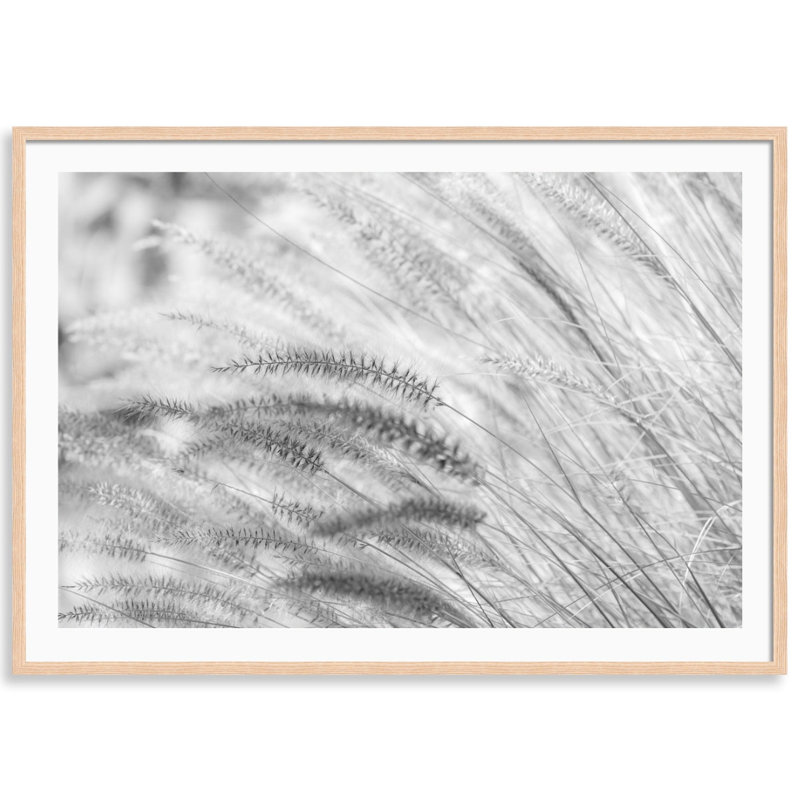 Summer Breeze Print by Carly Tabak, Natural Wood, 36" W x 26" H