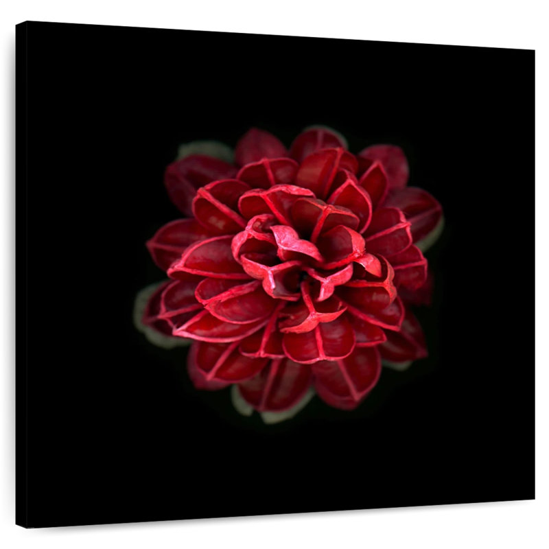 Harnek In Red, 36" H x 36" W