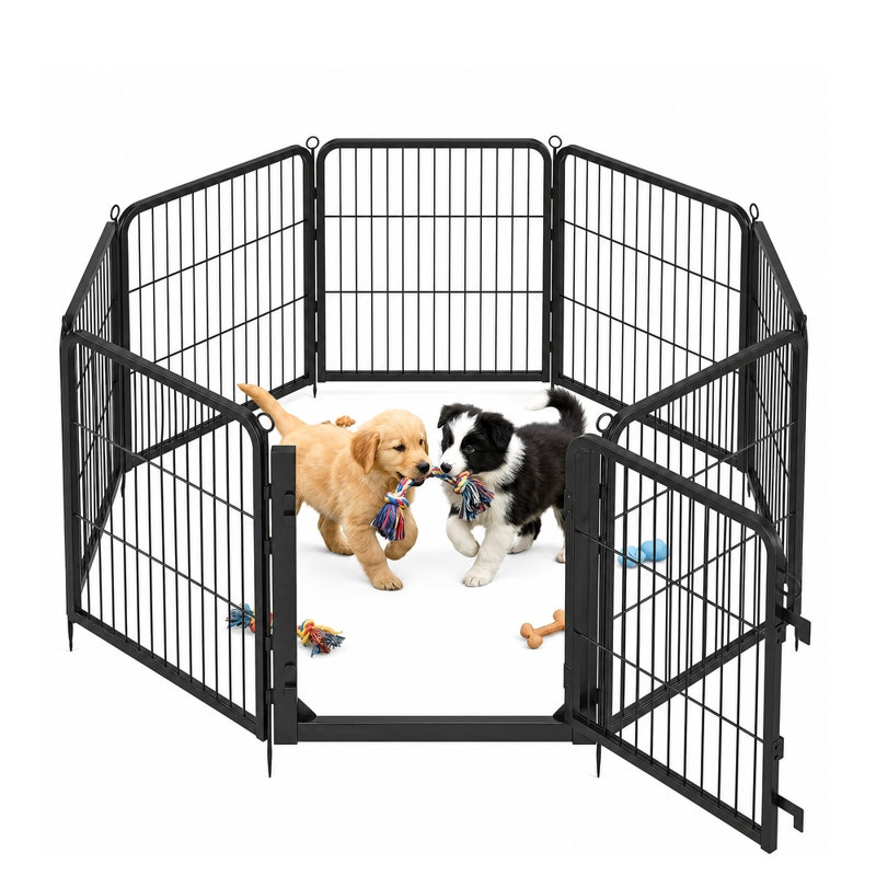 Dog Kennels & Pens