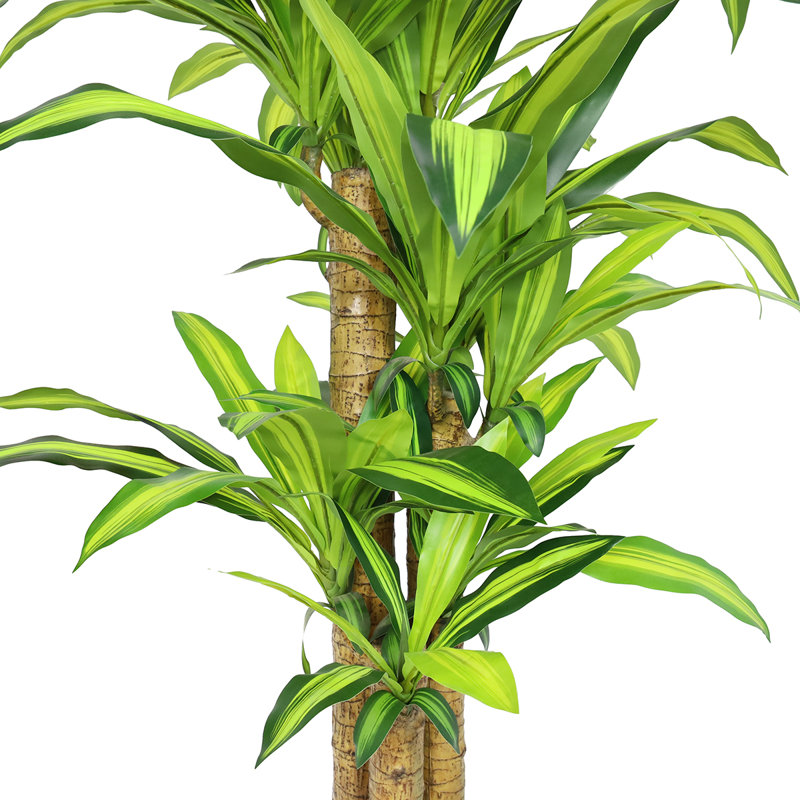 Arbre Dracaena artificiel Kilgore en pot
