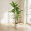 Lifelike Faux Dracaena Plant, Bendable Stems Artificial Green Tree for Living Space Styling