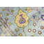 Tapis oriental Oushak Chobi-107917415