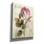 «Garden View II» par Lisa Audit, art mural sur toile-1274639353