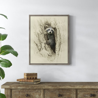 " Baby Raccoon "