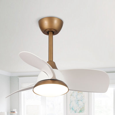 Haywa 28'' Ceiling Fan with LED Lights