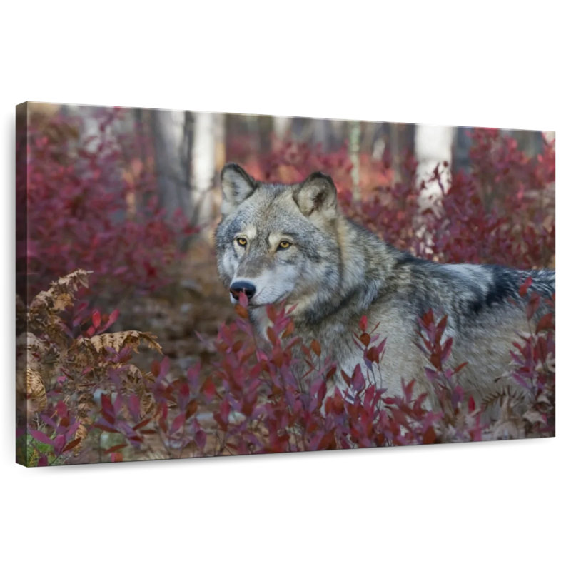Brampt Gray Timber Wolf, 8" H x 12" W