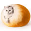 Lit pour chat Daiden-215824238