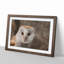 Barn Owl Vol.1 - Framed Print-62747783-62747784