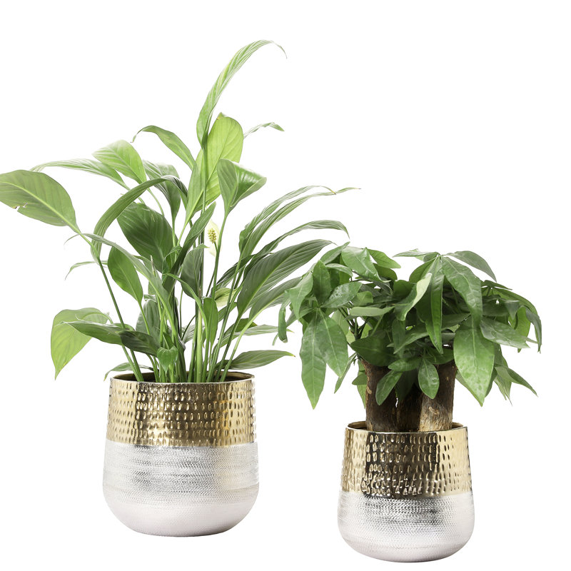 Metal Pot Planter