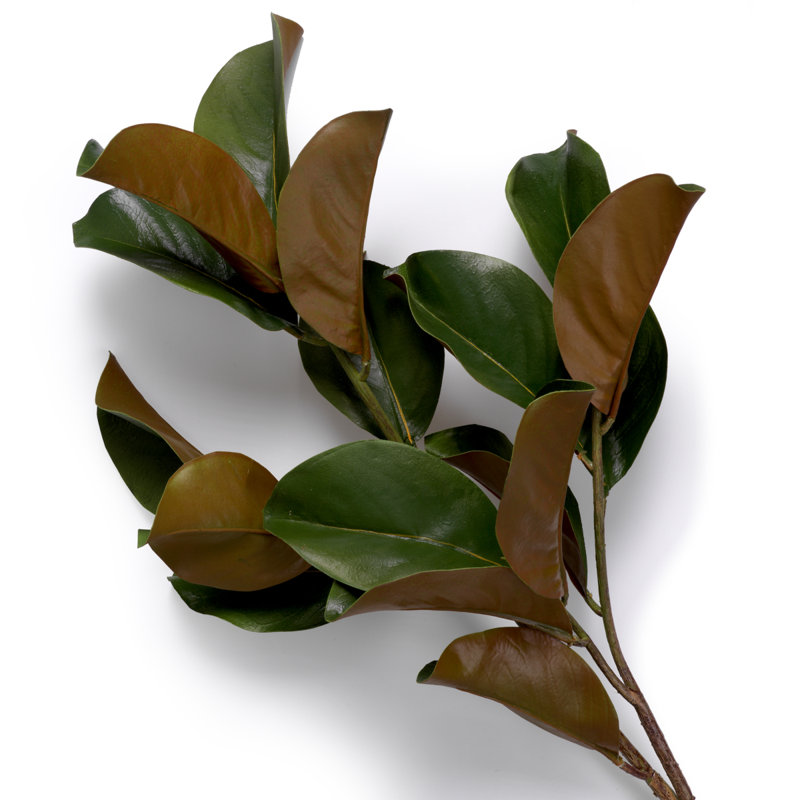 Faux Magnolia Plant