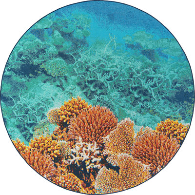 Tapis extérieur bleu iris