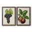Antique Fruit VIII - Ensemble de 2 reproductions d'art sur toile-1352268774-1352268568