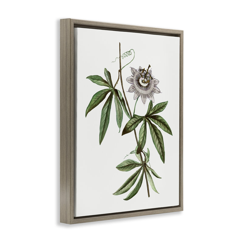 Cadre flottant rétro Vintage, par CAD Designs, Cadre flottant orme Montalcino, H 21 po x l 17 po