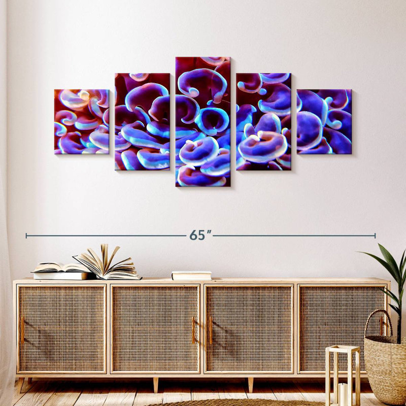 Multicoloured Coral, 24" H x 55" W
