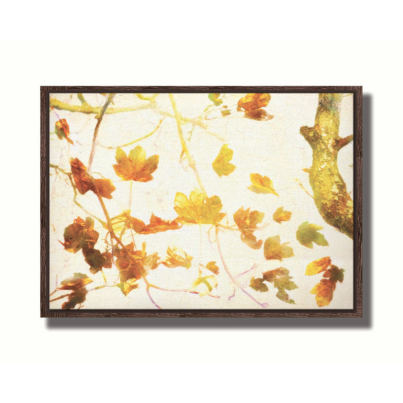 Automne doré par Hal Halli. Estampe numérique, H 30,5 po x l 40,5 po, Brun, Reproduction encadrée sans passe-partout