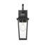 Barling 1 Light Outdoor Wall Light in Black-100157168